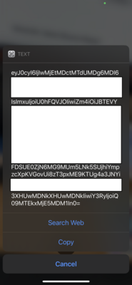 Screenshot of data /images/passenger-qr-code-data.png